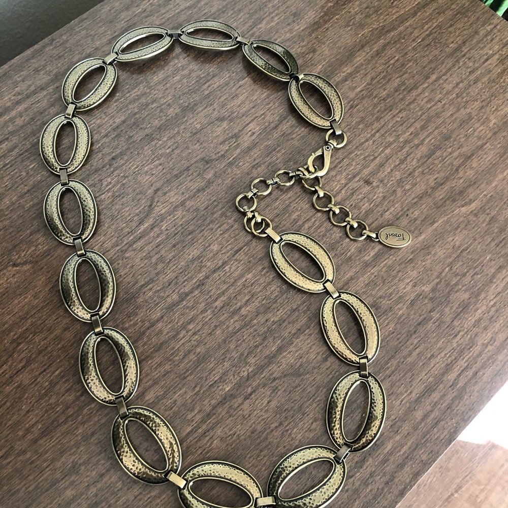 Fossil belt